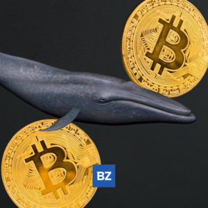 bitcoin-($btc)-–-3,000-bitcoin-was-just-transferred-from-coinbase-to-binance-–-benzinga