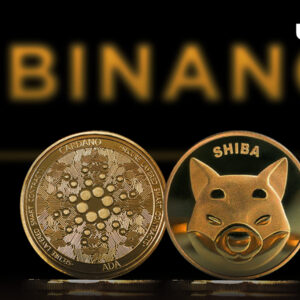 shib,-ada-users-can-now-enjoy-8%-cashback-on-binance-card-purchases:-details-–-u.today