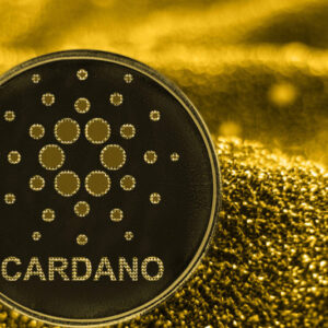 binanceus-announces-support-for-cardano’s-(ada)-vasil-upgrade-–-will-coinbase-do-the-same?-by-dailycoin-–-investing.com