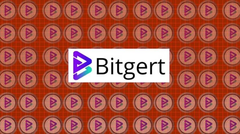 bitgert-updates:-crypto-community-is-excited-by-these-recent-bitgert-exchange-updates-–-analytics-insight
