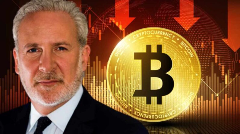economist-peter-schiff-warns-bitcoin-may-not-rise-when-other-…-–-bitcoin-news