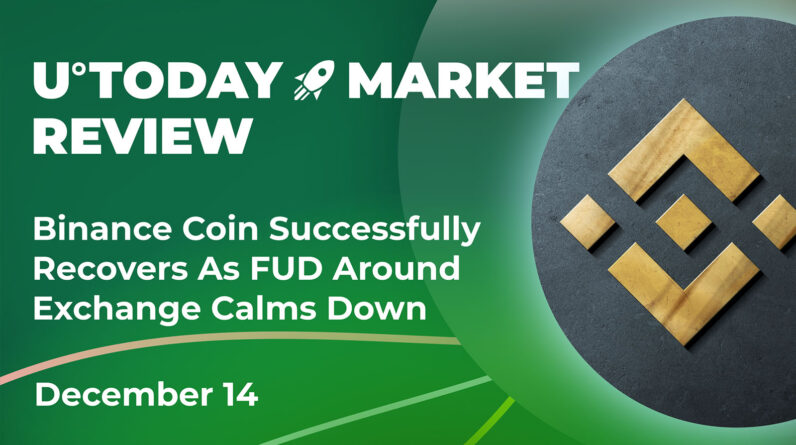 binance-coin-successfully-recovers-as-fud-around-exchange-calms-down:-crypto-market-review,-dec-14-–-u.today