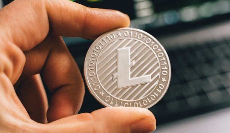 litecoin-($ltc)-and-binance’s-$bnb-see-whale-transactions-rise-…-–-cryptoglobe