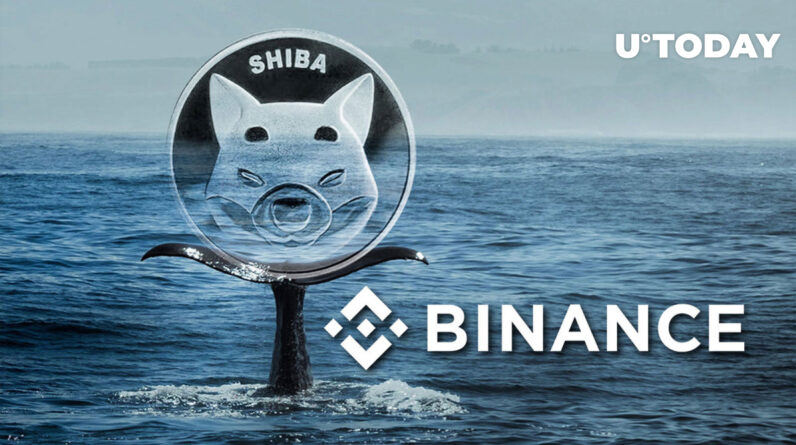 hundreds-of-billions-of-shiba-inu-(shib)-sent-to-binance-–-are-whales-depositing-back?-–-u.today