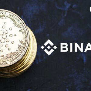cardano-(ada)-transactions-will-be-temporarily-suspended-by-binance,-here’s-when-and-why-–-u.today