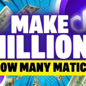 Make MILLIONS With Polygon ?!! How much MATIC Do You Need??
