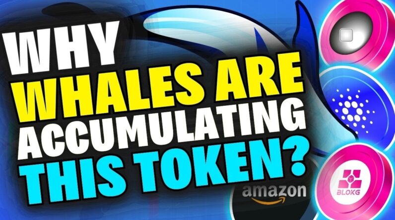 Why Whales Are Accumulating THIS Token? Polygon zkEVM launch, Cardano, Bloktopia, Amazon NFT News!