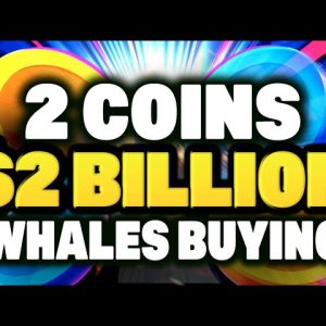 Crypto Whales are Buying These 2 Hot Altcoins 🐋