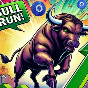 Chainlink To DOMINATE 2024 Bullrun | BlackRock LINK Pump Incoming